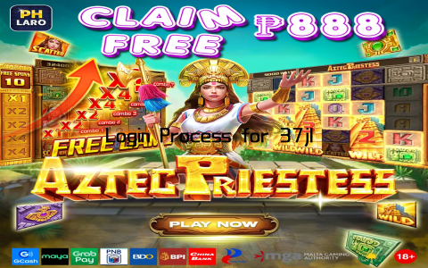 Login Process for 37jl User Accounts Explained